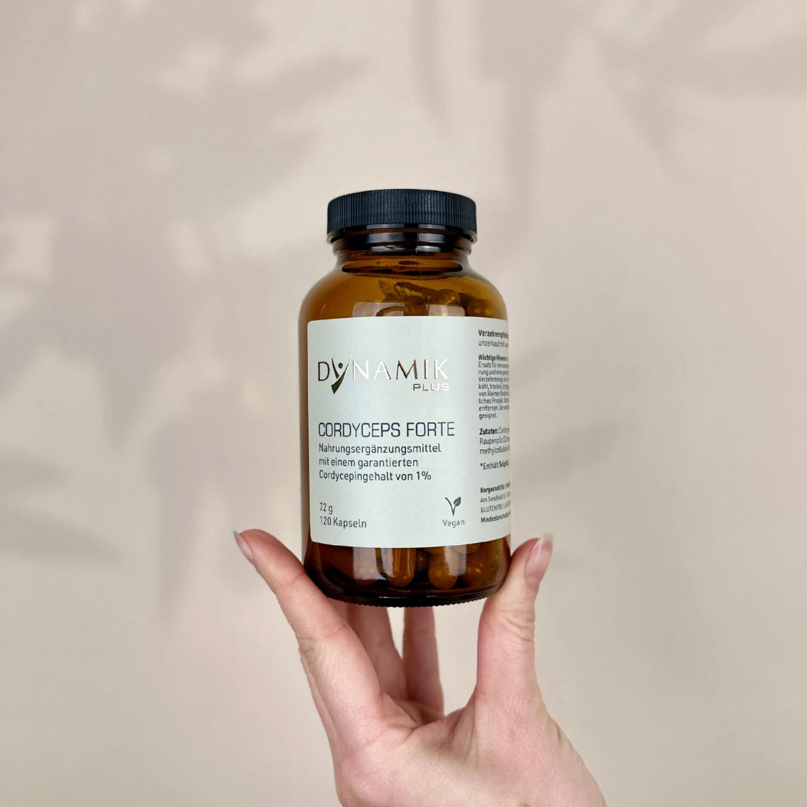 Cordyceps Forte 120 Kapseln in Hand