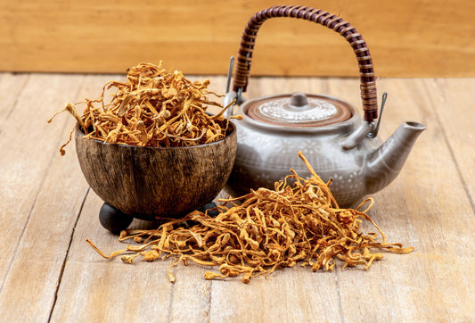 Pilzpower - wieso Cordyceps?