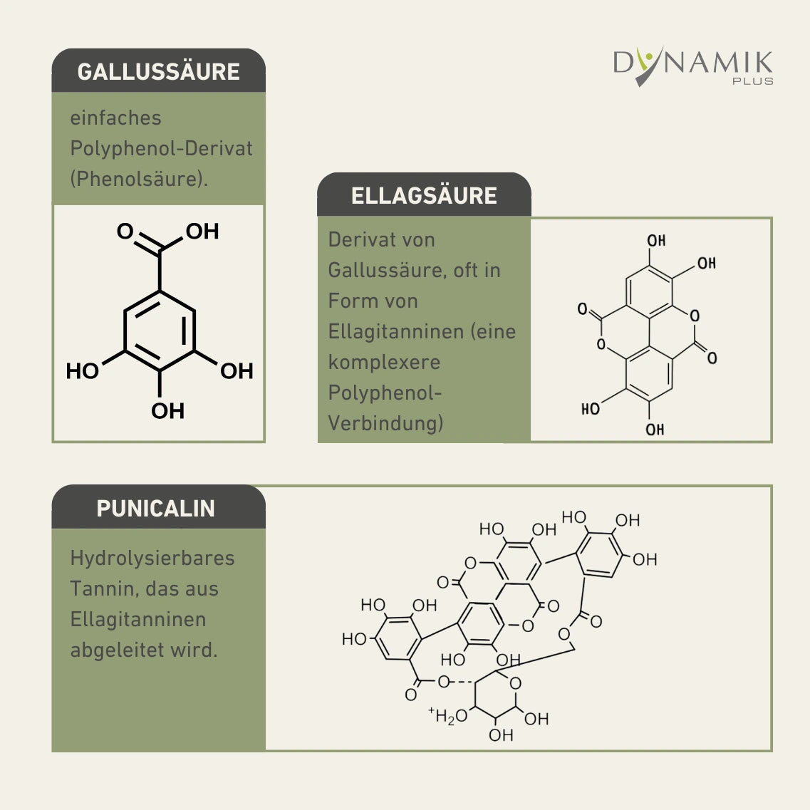 Abbildung der Molekülzusammensetzung von Gallussäure, Ellagsäure und Punicalin