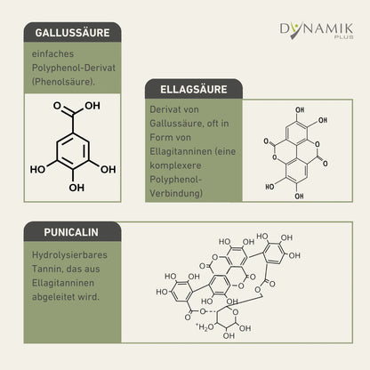 Abbildung der Molekülzusammensetzung von Gallussäure, Ellagsäure und Punicalin