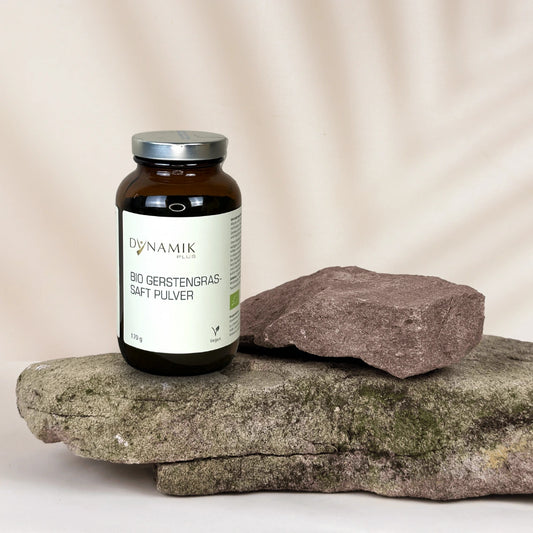 Braune Glasbehälter mit DYNAMIKPLUS "Bio Gerstengrassaft Pulver" Etikett stehend auf Stein