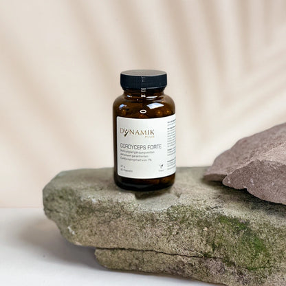 Brauner Glasbehälter mit DynamikPlus "Cordyceps Forte" Etikett und schwarzem Drehverschluss