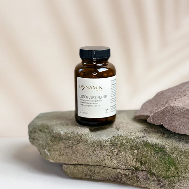 Cordyceps Forte