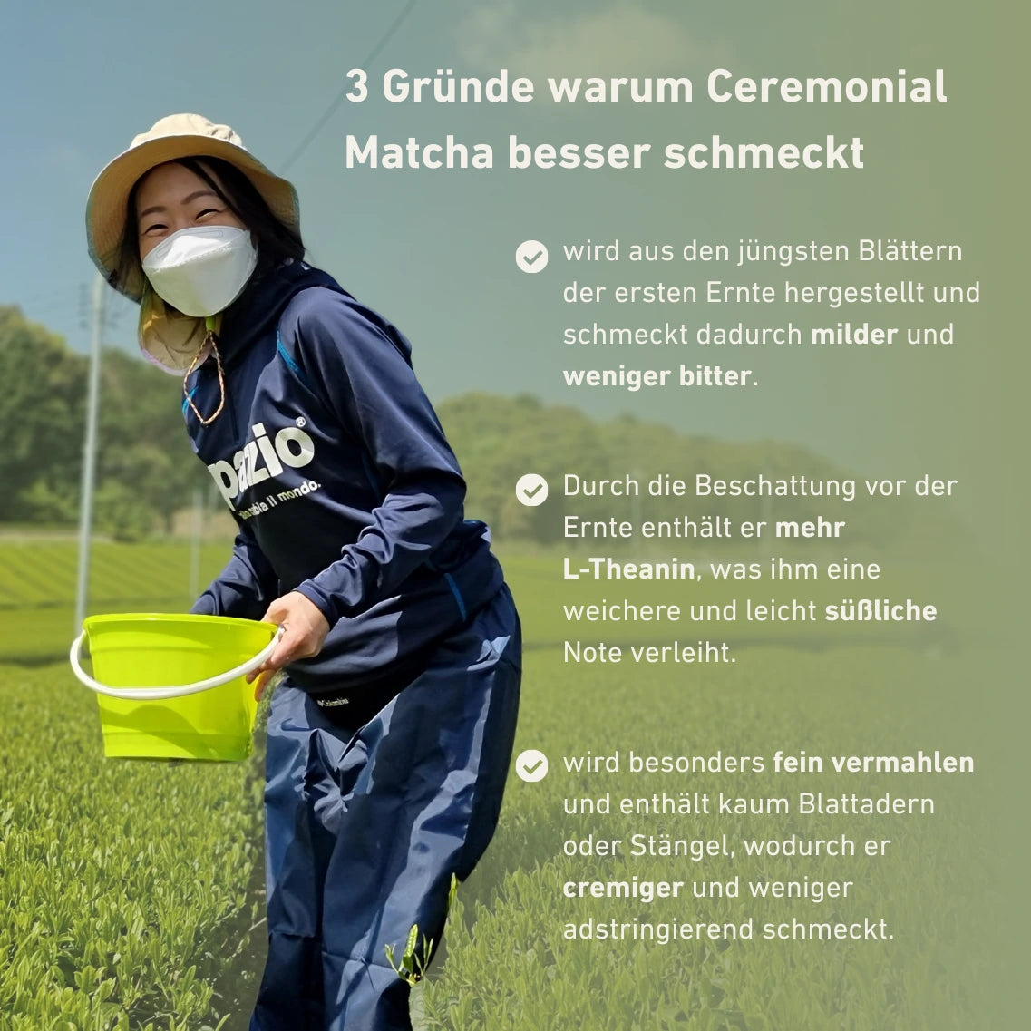 Infografik mit 3 Gründen Warum Ceremonial Bio Matcha besser schmeckt