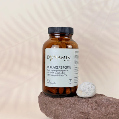 Cordyceps Forte 120 Kapseln auf Stein