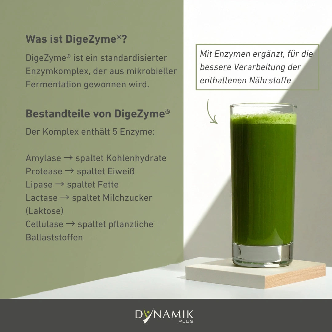 Infografik über DigeZyme und dessen Bestandteile