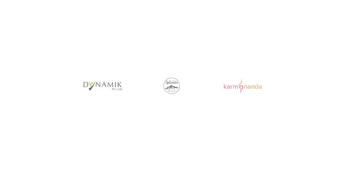 DYNAMIKPLUS Logo, Gipfelschätze Logo und Karmananda Logo