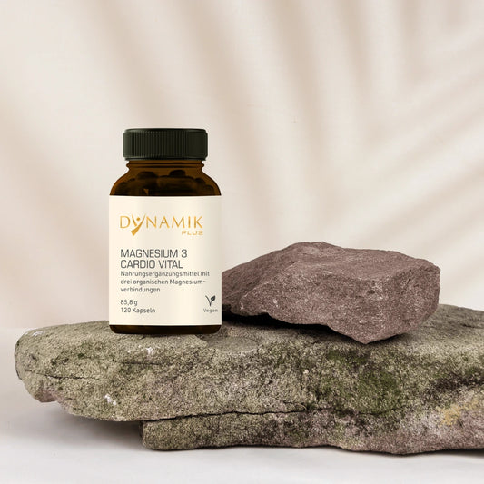 Magnesium 3 Cardio Vital Nahrungsergänzung auf Steinen