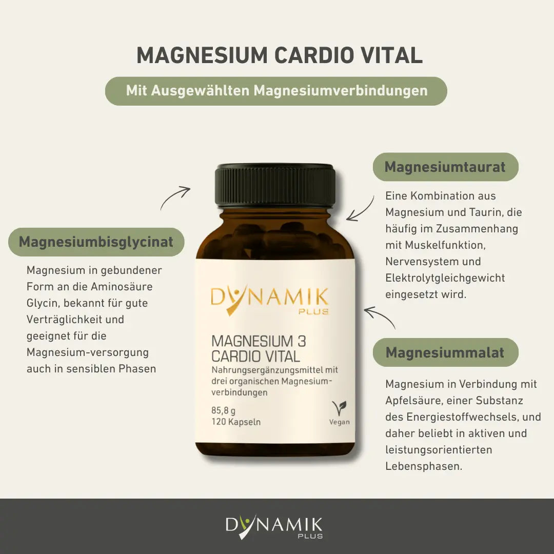 Magnesium 3 Cardio Vital mit Infotexten zu 3 Magnesiumverbindungen