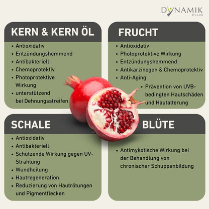Informationstabelle über den Granatapfel, Erläuterung der Vorteile des Kerns, der Frucht, der Schale und der Blüte