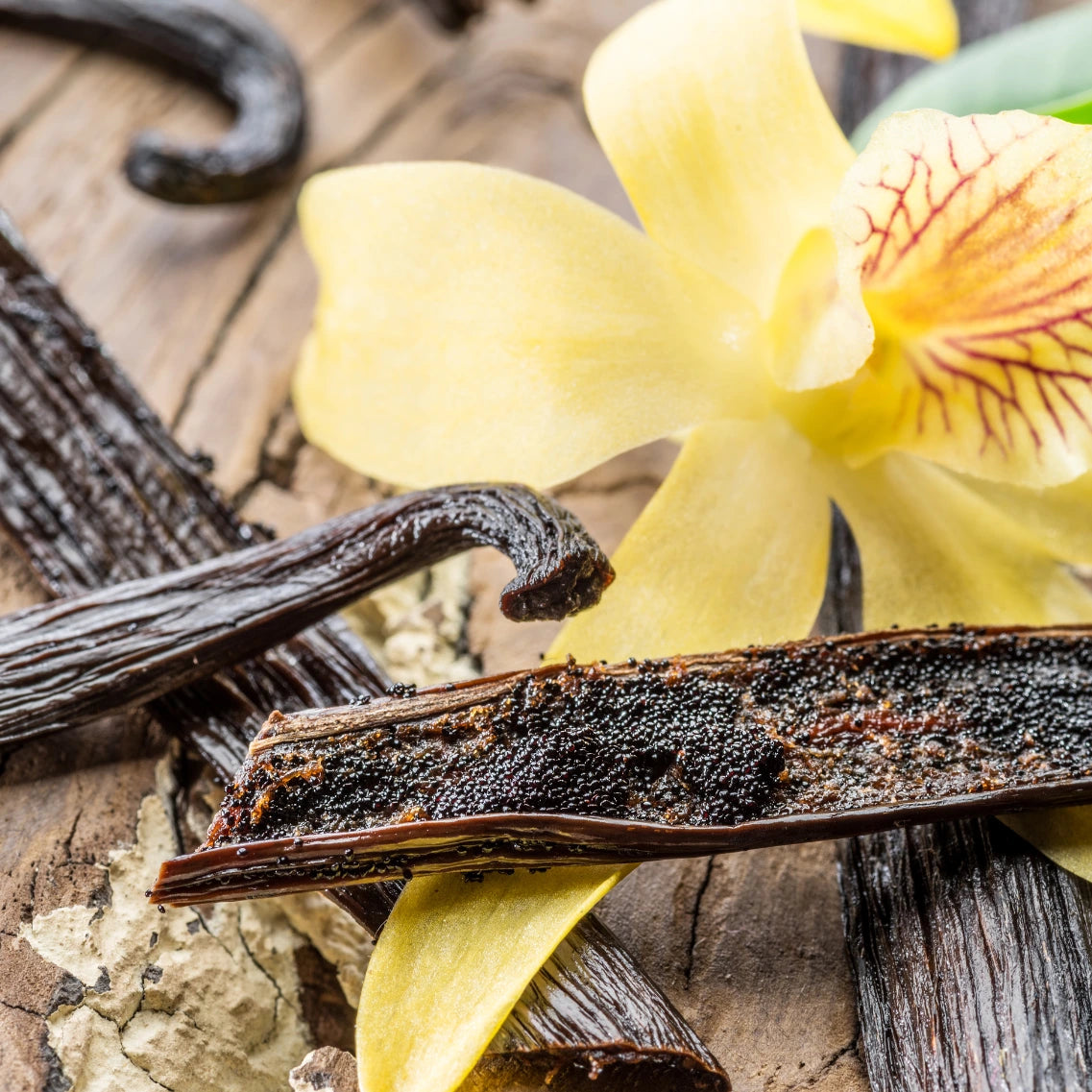 Offene Vanilleschote mit gelber Vanilleblüte im Hintergrund