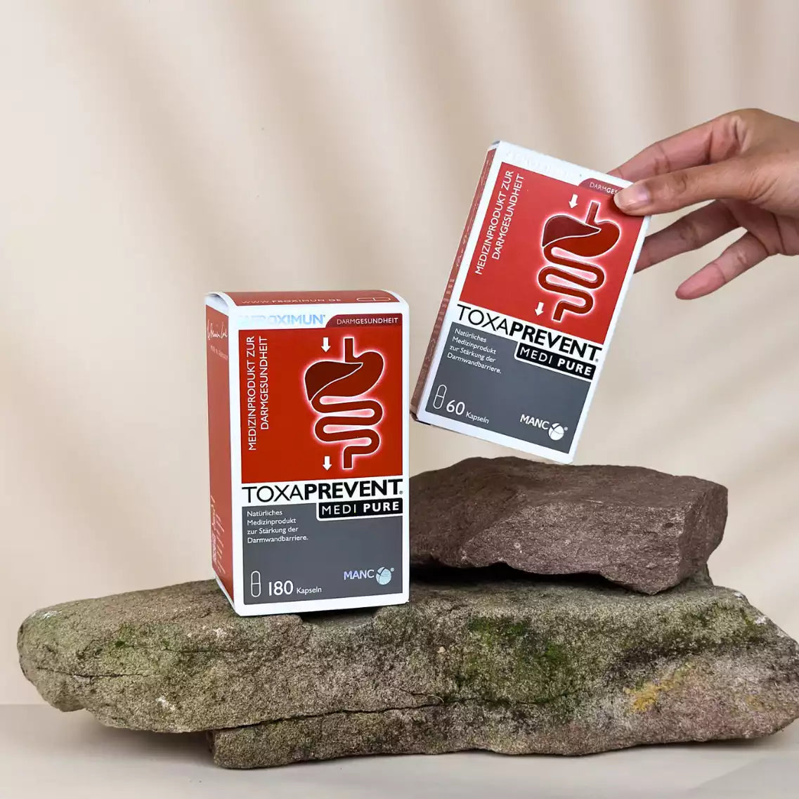 Rechteckige rot-weiße Verpackung mit "TOXAPREVENT Medi Pure" Print und Verdauungstraktabbildung große und kleine Packung auf Stein