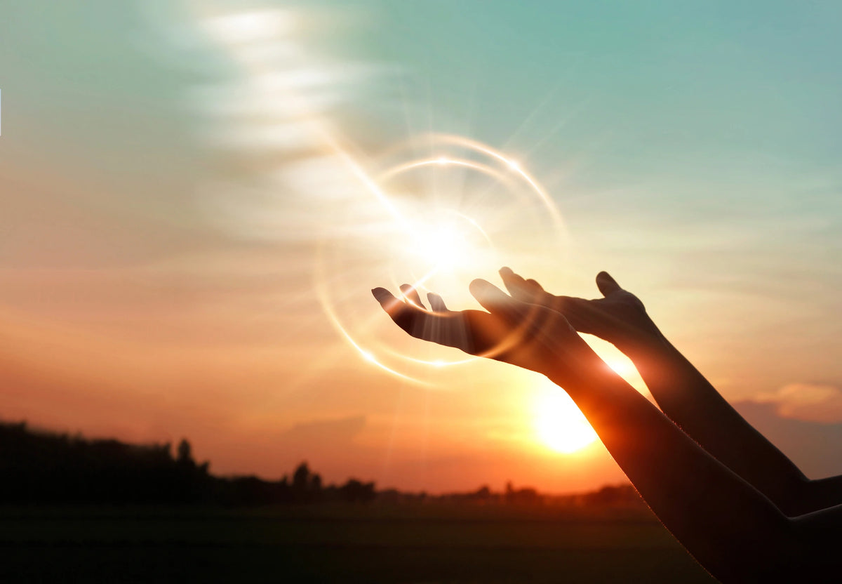 Sonne Hände Dankbar Natur Himmel