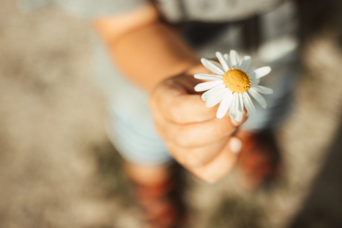 Blume Kind Geschenk Kamille