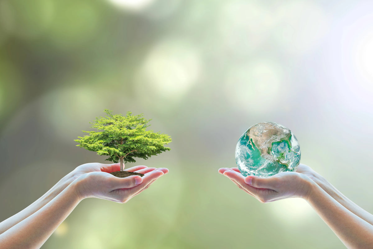 Erde Nachhaltigkeit Globus Natur